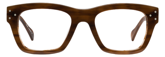 Medium Tortoiseshell - Front