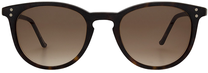 Medium Tortoiseshell - Front