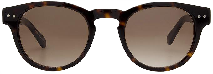 Dark Tortoiseshell - Front