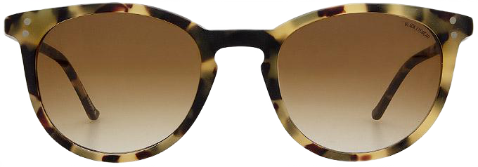 Matt Amber Havana - Front