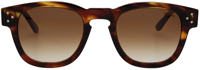 Light Tortoiseshell - Front