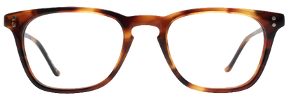 Light Tortoiseshell - Front