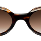 Dark Tortoiseshell - Front