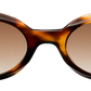 Light Tortoiseshell - Front