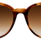 Light Tortoiseshell - Front