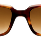 Light Tortoiseshell - Front