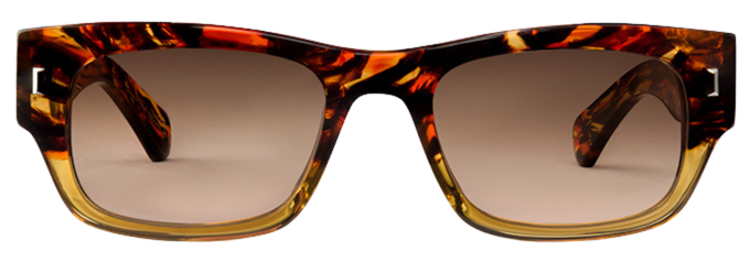 Brown Zebra - Front
