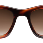 Light Tortoiseshell - Front