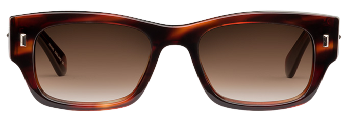 Light Tortoiseshell - Front