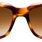 Light Tortoiseshell - Front