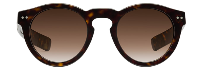 Dark Tortoiseshell - Front
