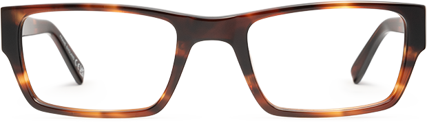 Light Tortoiseshell - Front