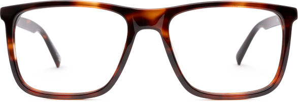 Light Tortoiseshell - Front