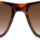 Light Tortoiseshell - Front