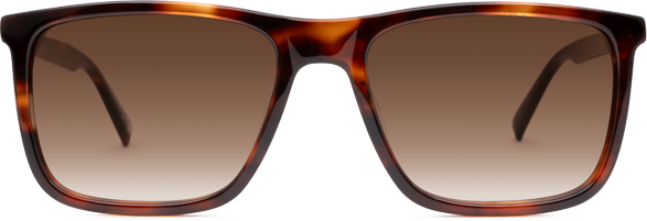 Light Tortoiseshell - Front