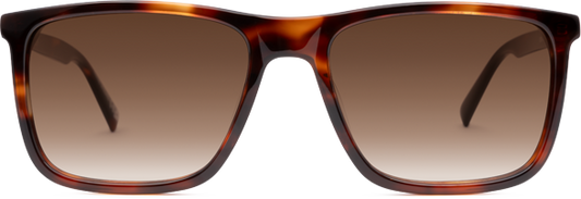 Light Tortoiseshell - Front