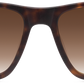 Matt Dark Tortoiseshell - Front