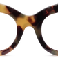 Amber Havana - Front