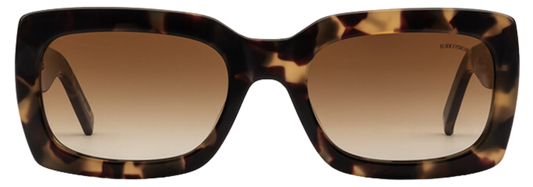 Amber Havana - Front