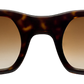 Dark Tortoiseshell - Front