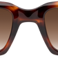 Light Tortoiseshell - Front