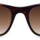 Dark Tortoiseshell - Front