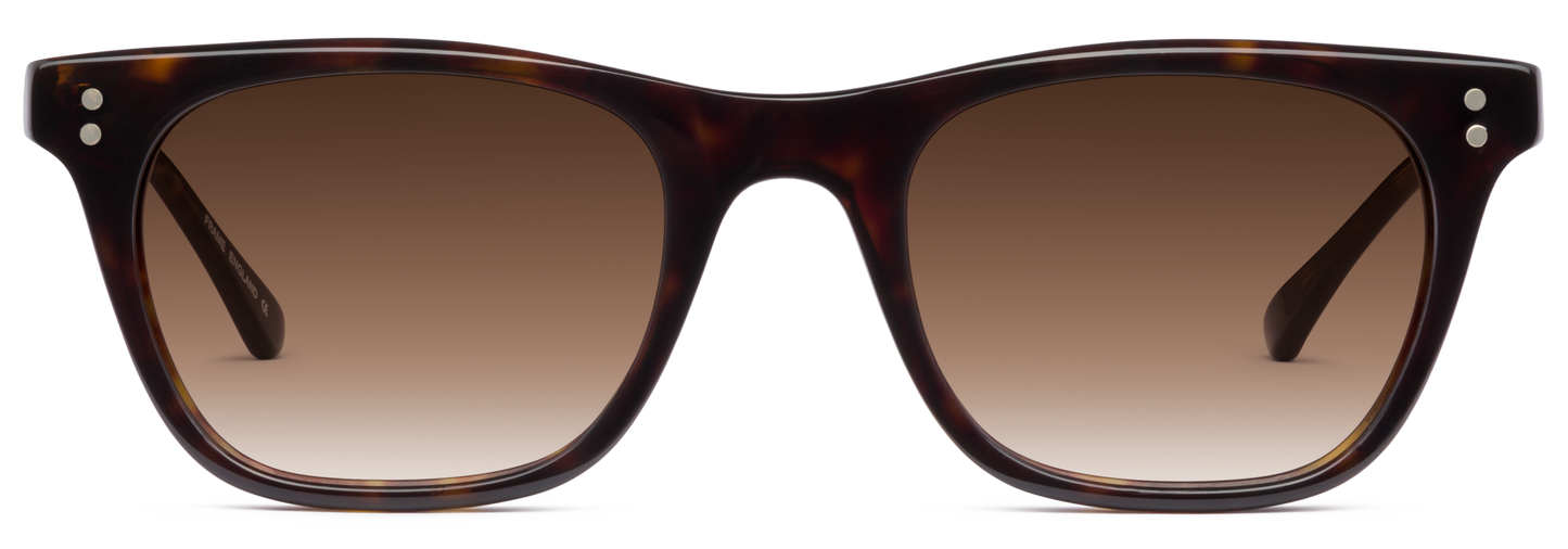 Dark Tortoiseshell - Front