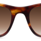 Light Tortoiseshell - Front