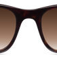 Dark Tortoiseshell - Front