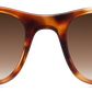 Light Tortoiseshell - Front
