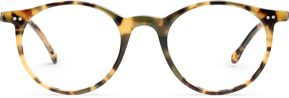 Amber Havana - Front