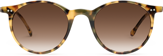 Amber Havana - Front