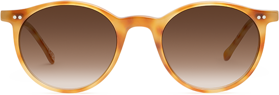 Light Havana - Front