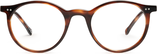 Light Tortoiseshell - Front