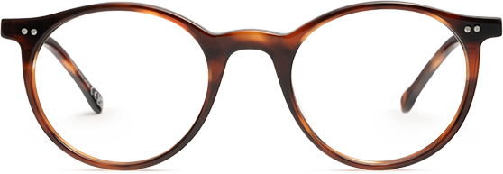 Light Tortoiseshell - Front
