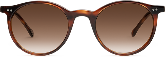 Light Tortoiseshell - Front