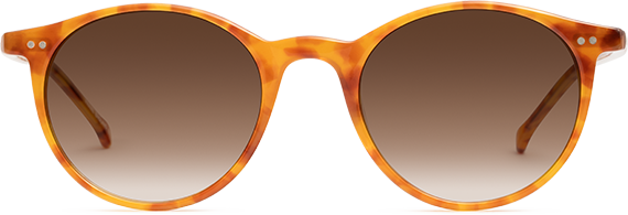 Shiny Marmalade - Front