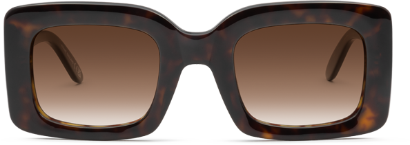 Dark Tortoiseshell - Front