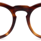 Light Tortoiseshell - Front