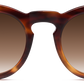 Light Tortoiseshell - Front