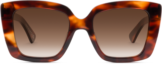 Light Tortoiseshell - Front