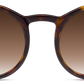 Dark Tortoiseshell - Front