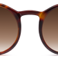Light Tortoiseshell - Front