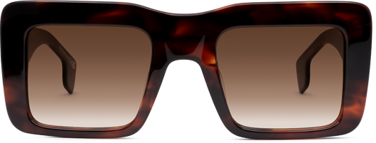 Light Tortoiseshell - Front