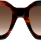 Light Tortoiseshell - Front