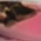 Pink Fleck Image
