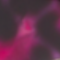 Pink Tiger Image