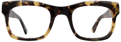 Amber Havana - Front