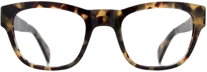 Amber Havana - Front