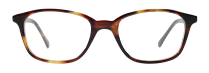 Light Tortoiseshell - Front
